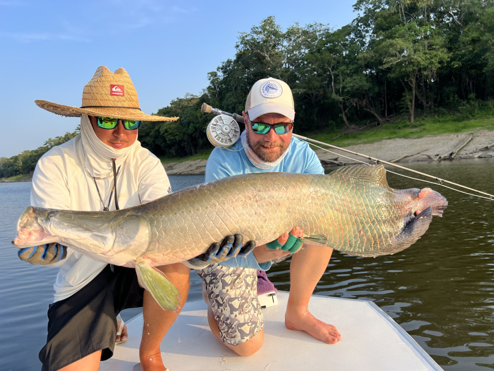 Giant Arapaima Fly Fishing in Amazon | Pirarucú Lodge