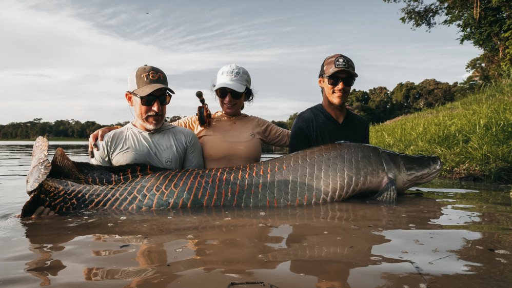 Arapaima  Pirarucú