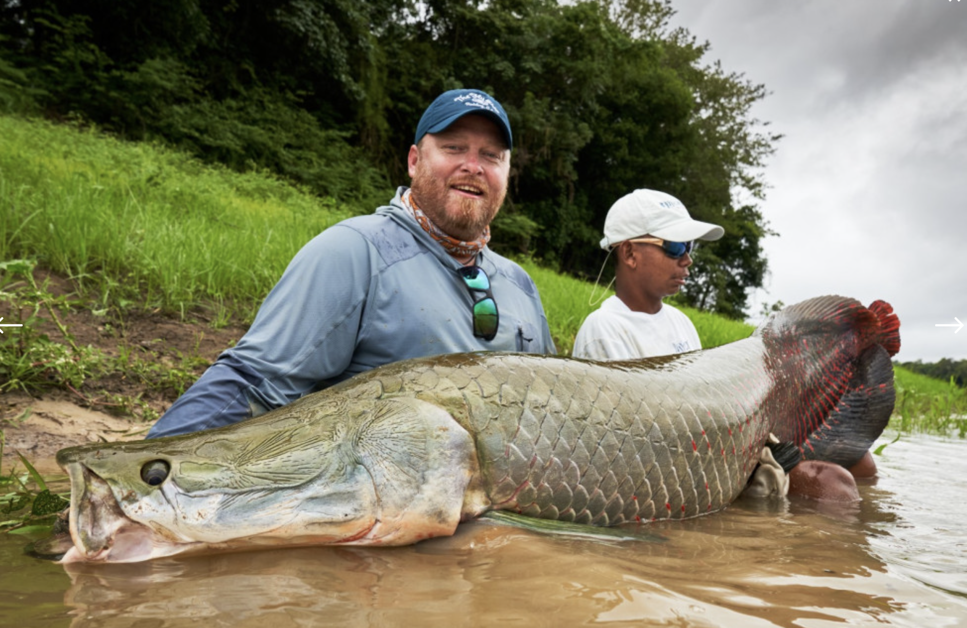 Fishing the World's Largest Arapaima Reserve Fishing the World's Largest Arapaima Reserve