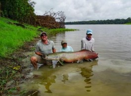 Pirarucu Season 2021 | Fishing Report	