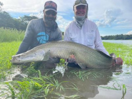 Pirarucu Season 2021 | Fishing Report