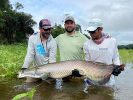 Pirarucu Season 2021 | Fishing Report	