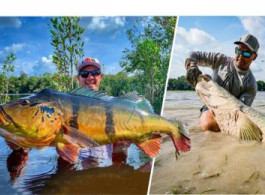 What is the best option in terms of logistics for a Brazilian Jungle trip? Check out this combo trip