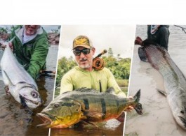 What is the best option for the Grand Slam of the Brazilian Amazon? Check out this combo trip!