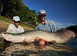 Pirarucu Season 2022 | Fishing report week 5