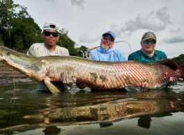 Pirarucu Season 2022 | Fishing report week 6