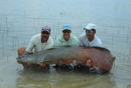 Pirarucu Season 2022 | Fishing report week 10