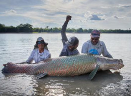 The top 10 things you need to know about Pirarucu Lodge!