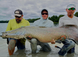River Gods and Patience