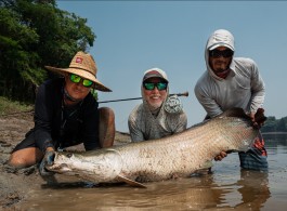 Pirarucú Season 2023 | Fishing report week 01