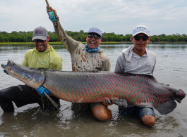 Pirarucú Lodge Fishing Report 2025 | When Size Meets Strength