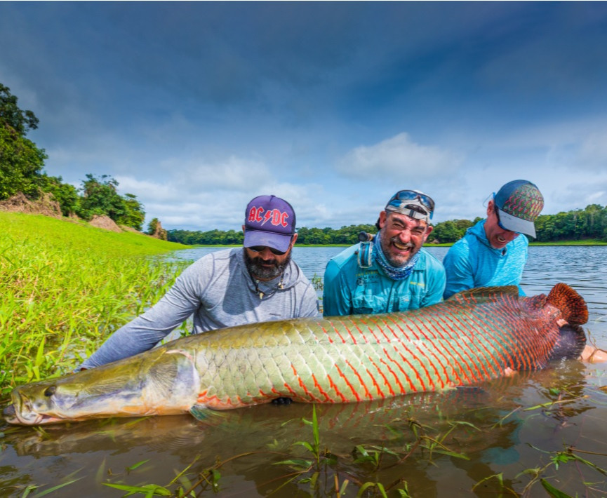 Pirarucú is the first and only project allowed and supported by the Brazilian government with focus on fly fishing for arapaima.